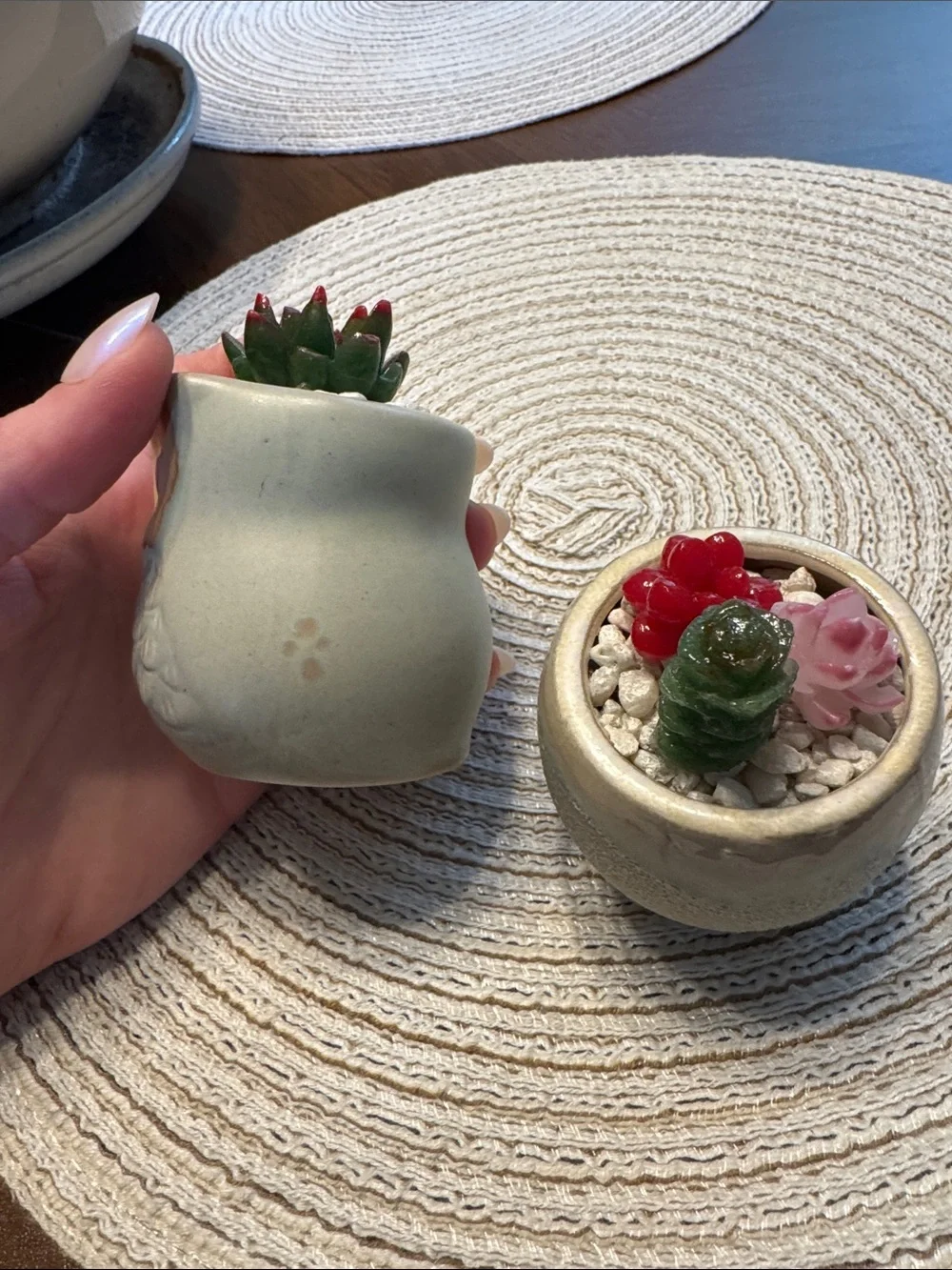 Ceramic Owl & Round Planter Pair with Faux Succulents - Soft Sage and Cream
